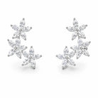 Zard Jewelry Cubic Zirconia Climber Earrings